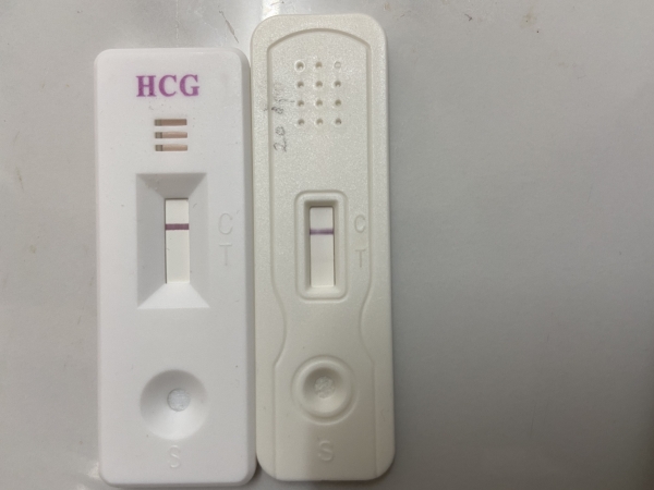 Home Pregnancy Test, 20 Days Post Ovulation, FMU, Cycle Day 36