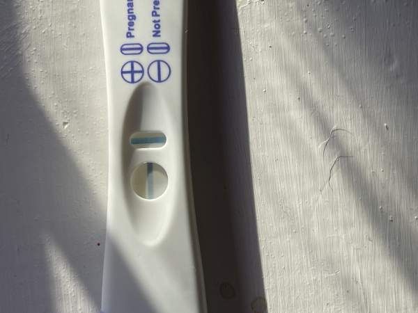Home Pregnancy Test