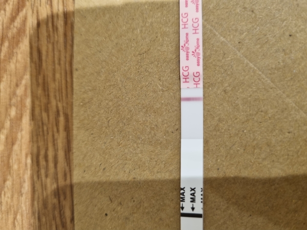 Home Pregnancy Test