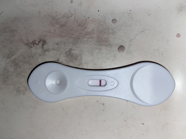 Home Pregnancy Test