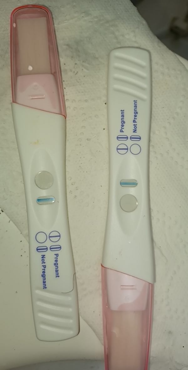 Home Pregnancy Test