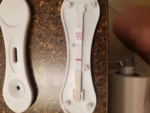 U-Check Pregnancy Test