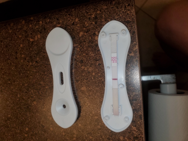 Home Pregnancy Test