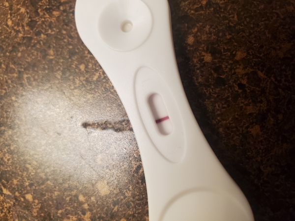 Home Pregnancy Test