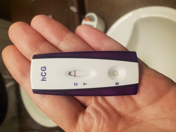 Home Pregnancy Test