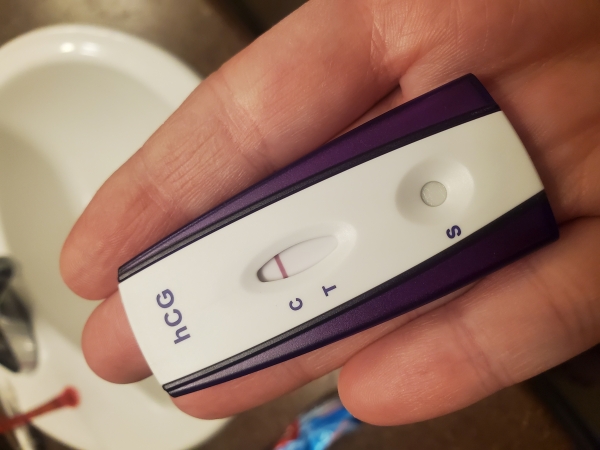 Home Pregnancy Test