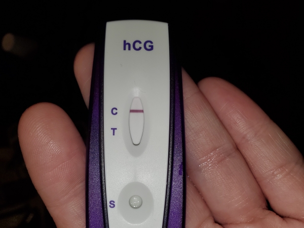 Home Pregnancy Test