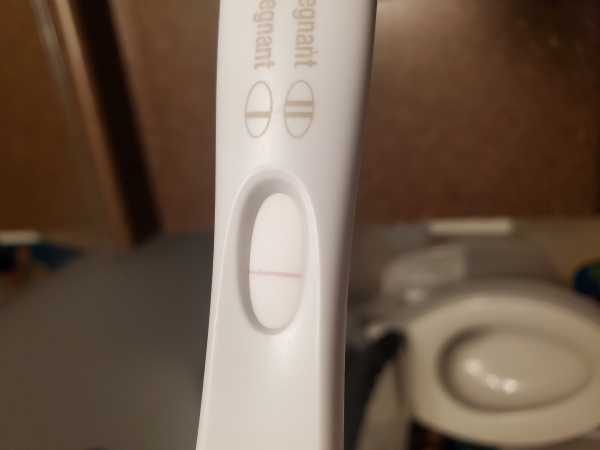 Home Pregnancy Test