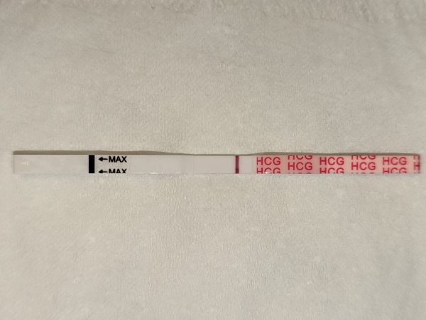 Wondfo Test Strips Pregnancy Test, 8 Days Post Ovulation, FMU, Cycle Day 24