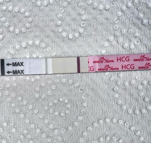 Home Pregnancy Test