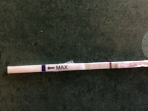 Home Pregnancy Test, 11 Days Post Ovulation