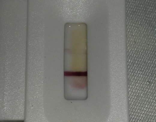 New Choice Pregnancy Test
