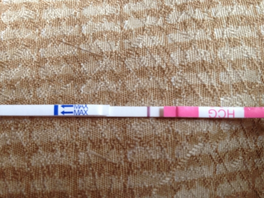 Home Pregnancy Test