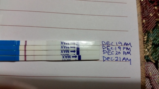 Generic Pregnancy Test, 16 Days Post Ovulation, FMU, Cycle Day 26