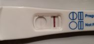 Home Pregnancy Test, Cycle Day 37