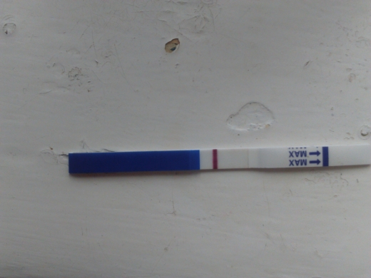 Home Pregnancy Test, FMU