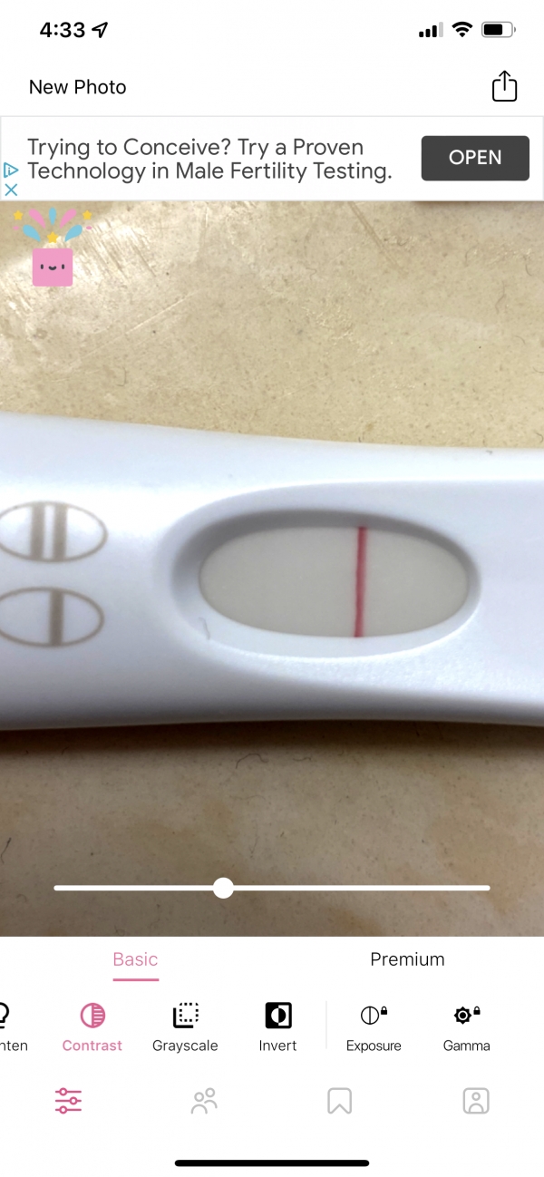 First Response Rapid Pregnancy Test, 14 Days Post Ovulation, Cycle Day 28