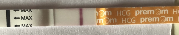 Home Pregnancy Test, 8 Days Post Ovulation, Cycle Day 28