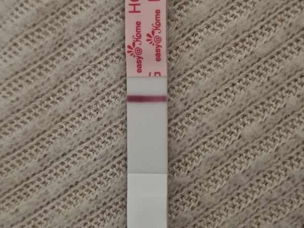 Home Pregnancy Test