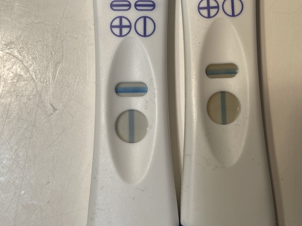 CVS One Step Pregnancy Test, 12 Days Post Ovulation, Cycle Day 28