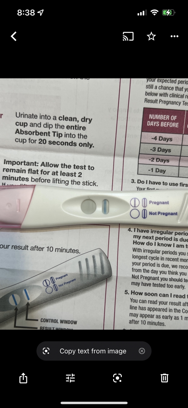 Home Pregnancy Test