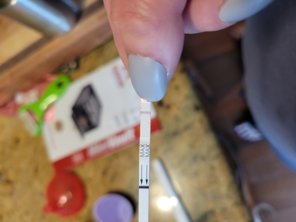 AccuMed Pregnancy Test, 12 Days Post Ovulation, FMU, Cycle Day 30