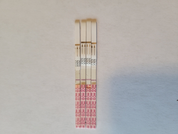 AccuMed Pregnancy Test, 12 Days Post Ovulation, FMU