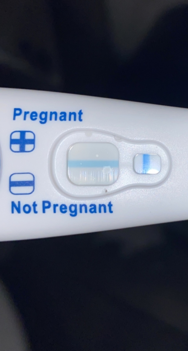 Home Pregnancy Test