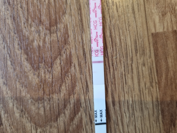 Home Pregnancy Test