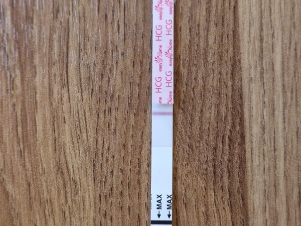 Home Pregnancy Test