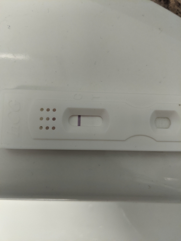 New Choice Pregnancy Test, 12 Days Post Ovulation, Cycle Day 23