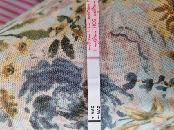 Home Pregnancy Test