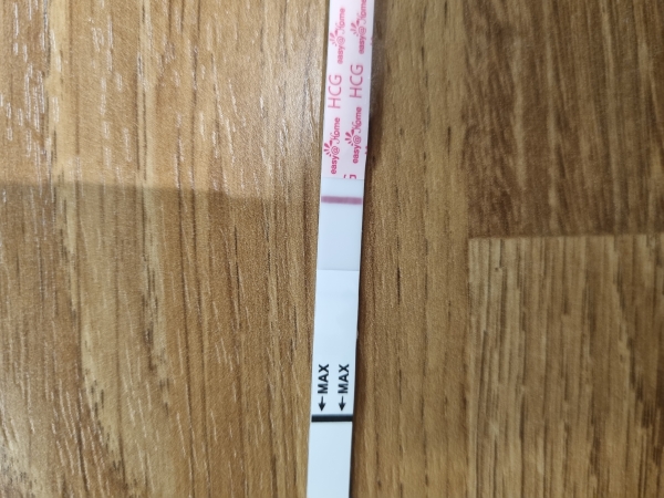 Home Pregnancy Test