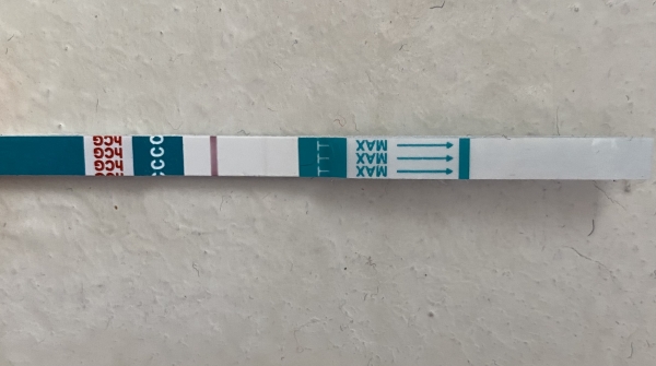 Home Pregnancy Test, 11 Days Post Ovulation, FMU