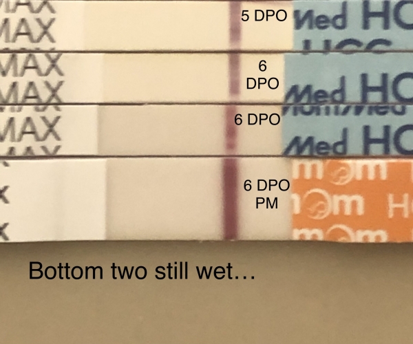 Home Pregnancy Test, 6 Days Post Ovulation