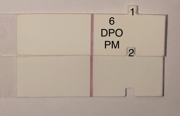 Home Pregnancy Test, 6 Days Post Ovulation