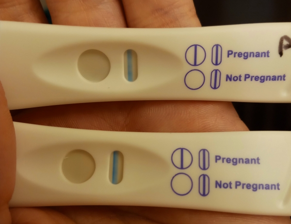 Home Pregnancy Test