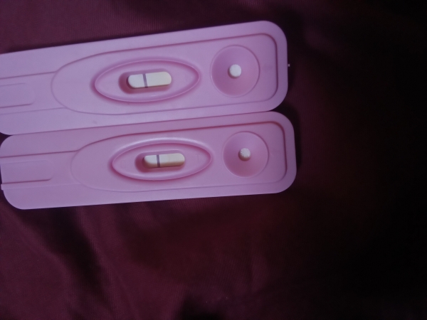 Home Pregnancy Test