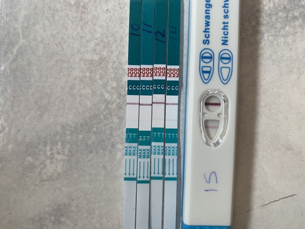 Home Pregnancy Test, 15 Days Post Ovulation, FMU