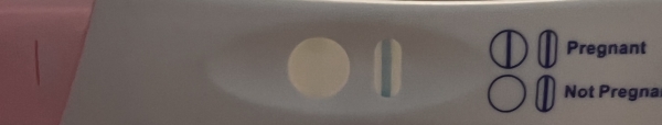 Home Pregnancy Test, 8 Days Post Ovulation