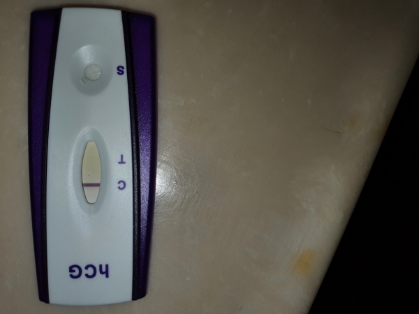 Home Pregnancy Test