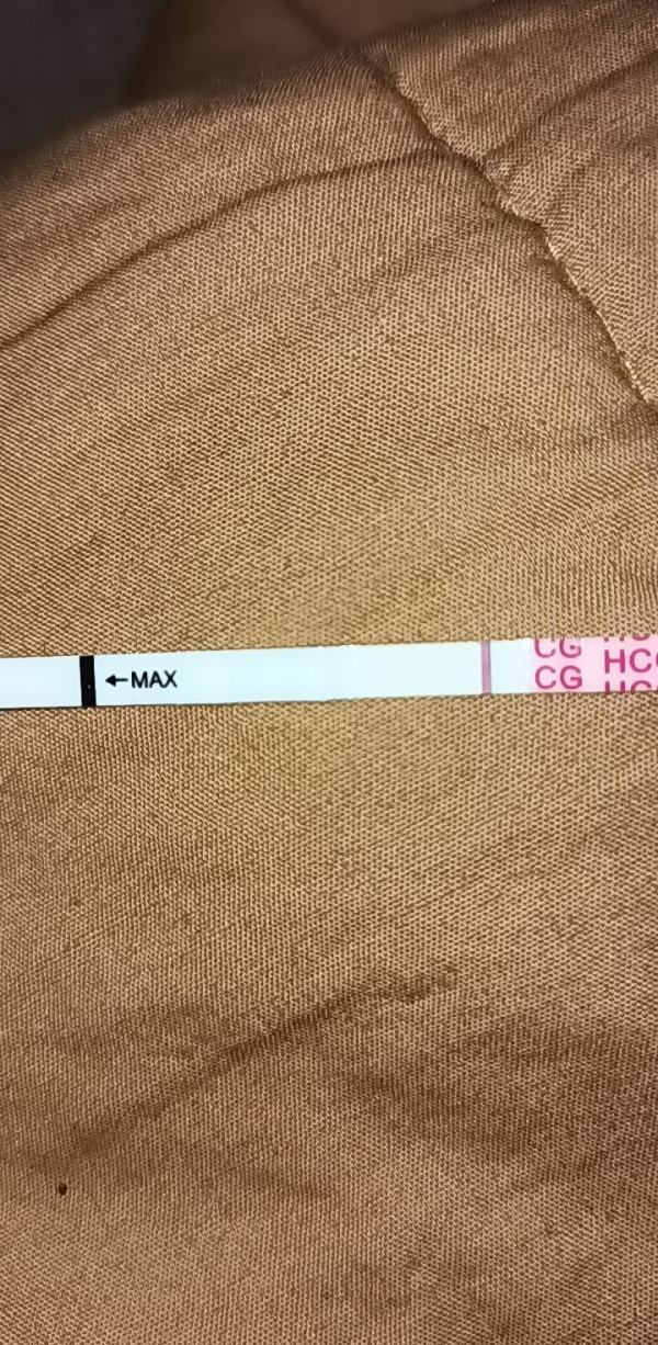 Home Pregnancy Test