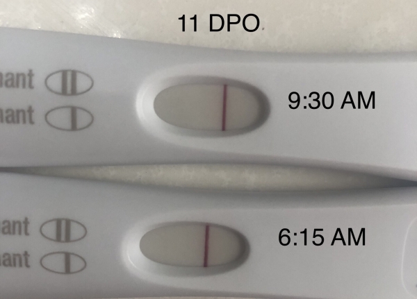 First Response Early Pregnancy Test, 11 Days Post Ovulation, FMU, Cycle Day 32