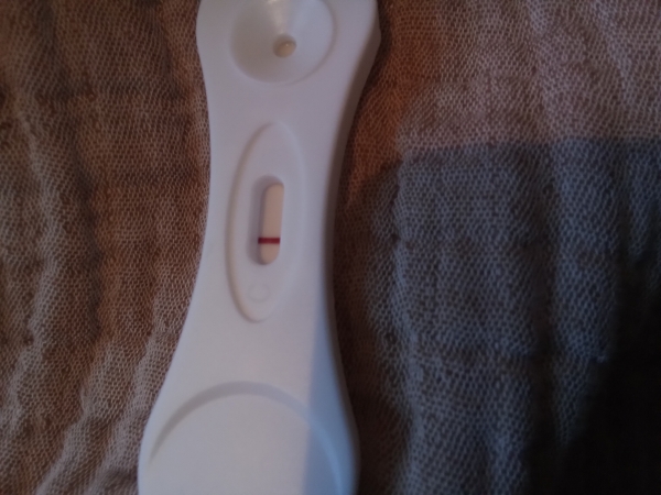 Home Pregnancy Test