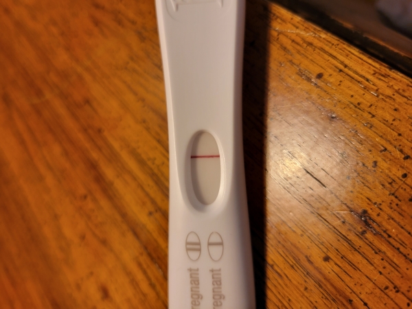 Home Pregnancy Test