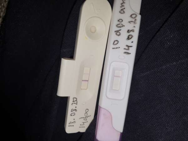 Home Pregnancy Test