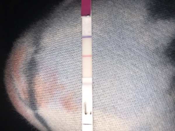 First Response Early Pregnancy Test, 13 Days Post Ovulation