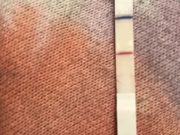 First Response Early Pregnancy Test, 13 Days Post Ovulation