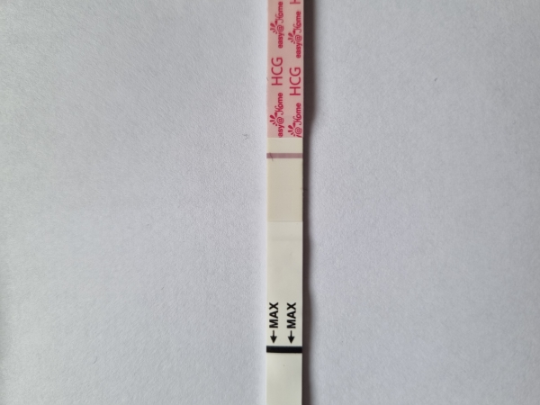 Home Pregnancy Test