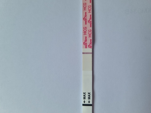 Home Pregnancy Test
